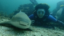 Подводная история Ирины Бушковой: про акул и скатов, про Байкал и Мексику. И потрясающие фотографии