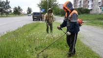 Хоть трава не расти. Кто, как и почём косит городские территории Ревды