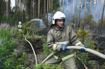 Лесной пожар оперативно потушили в Ревде
