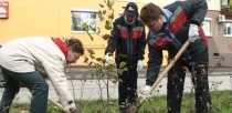 В Первоуральске стартовала ежегодная акция СУМЗа по посадке деревьев 
