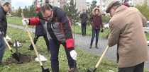 В Ревде и Первоуральске СУМЗ высадил 950 деревьев 