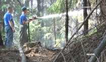Жителей Ревды предупреждают об угрозе лесных пожаров 