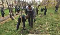 Акция СУМЗа продолжается. 300 саженцев деревьев высажено в Ревде