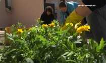Молодежь СУМЗа высадила цветы в Детском доме Ревды