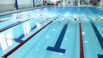 В Ревде стартовали областные соревнования по плаванию