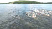 Соревнования на открытой воде. Больше сотни пловцов состязались в Ревде 