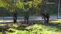 Перед открытием. Работники СУМЗа проводят уборку в обновленном парке Дворца культуры Ревды