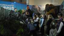 В Ревду приехали динозавры. "Демидов-центр" представляет новую выставку