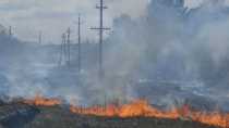 В Ревде объявлен особый пожароопасный режим. Леса горят