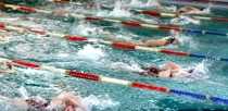 В Ревде прошли областные соревнования по плаванию