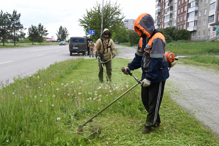 В день косари обрабатывают мотокосами 2 км. Чтобы скосить всю траву на муниципальной территории, им потребуется две недели. Фото Владимира Коцюбы-Белых