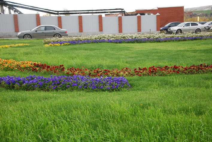 Яркая зелень и цветы до сих пор украшают территорию завода
