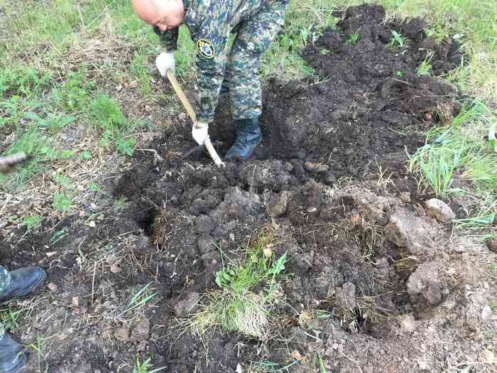 На этом месте было зарыто расчлененное тело Едугина.