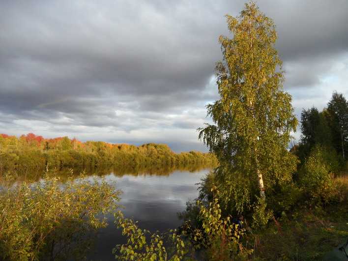 Берег реки Сосьвы