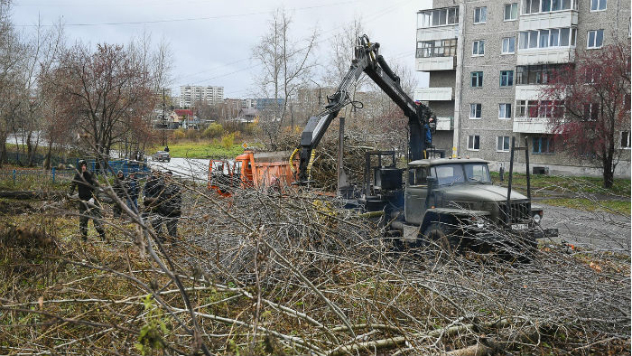 Сейчас на месте будущего сквера вырубают деревья и всю поросль. Фото Владимира Коцюбы-Белых