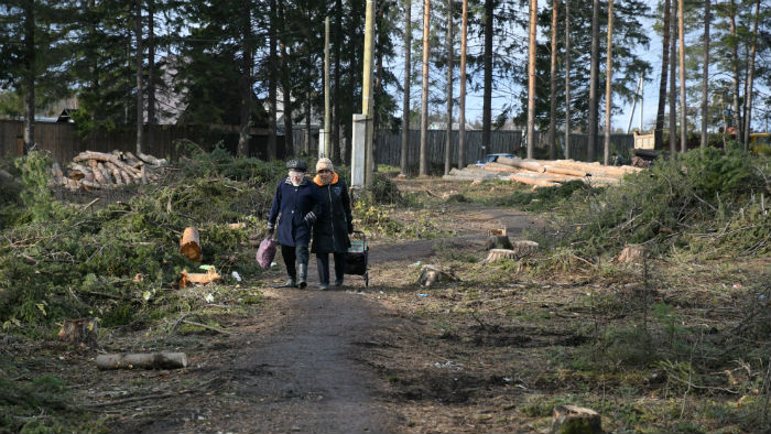 Единственная пешеходная дорожка в коллективные сады сегодня находится не в лучшем состоянии. Но скоро ее не будет совсем. Фото Владимира Коцюбы-Белых