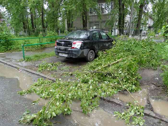 Во дворе дома №12 по Спортивной ветка тополя упала прямо на машину.