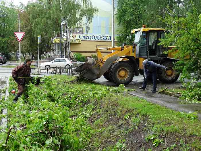 Работники ИП Гамзаева убирают оторванные ветки возле парка Победы.