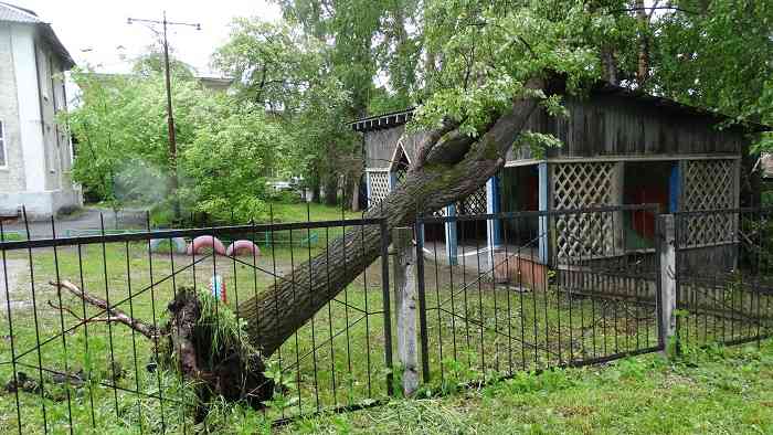 Дерево упало прямо на веранду на территории детского сада №50 (здание на Чехова, 26).
