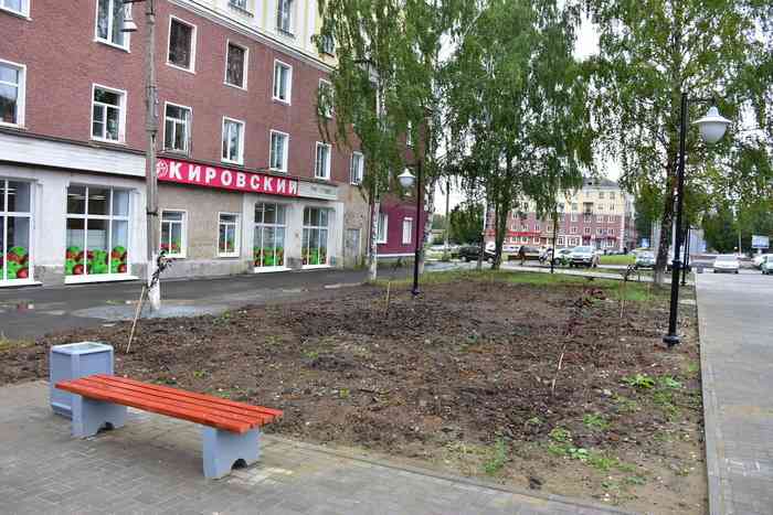 Здесь скоро появится аккуратный газон