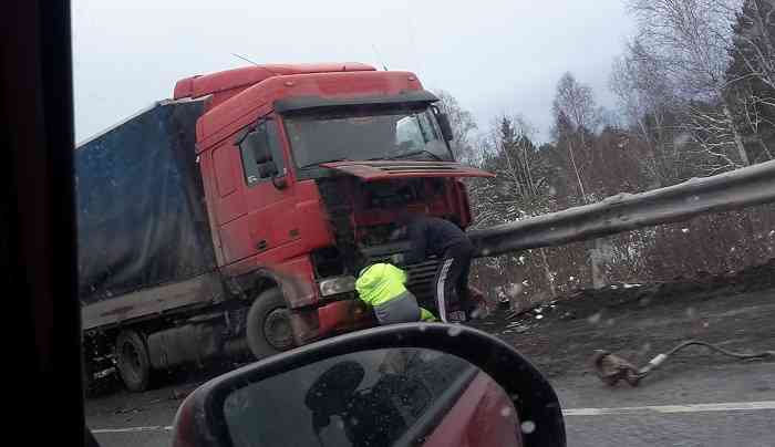 Фото Дениса Братцева.