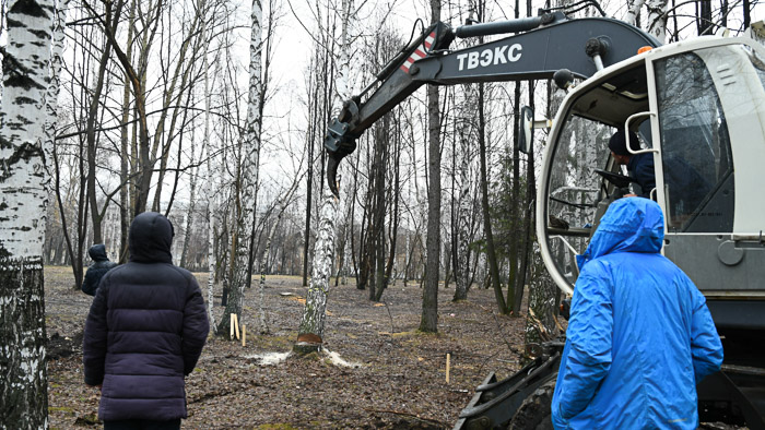 Всего предостоит убрать несколько десятков деревьев, но потом посадить новые. Фото Владимира Коцюбы-Белых