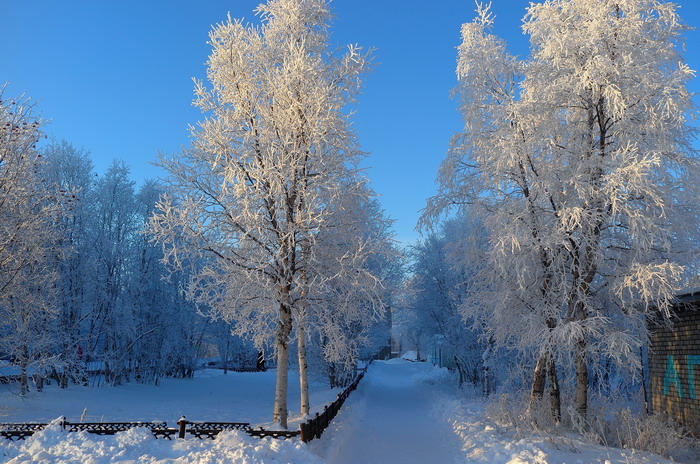 Серовые северные зимы. Фото предоставлено Виктором Кузнецовым