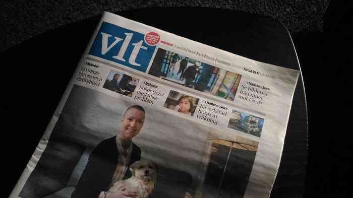 Первая страница газеты VLT (г. Вестерос).