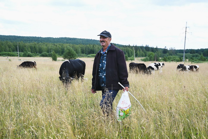 Юрий Петров работает пастухом уже 13 лет. И каждую весну ждет — когда же, наконец, снова со стадом выйдет в поле. Фото Владимира Коцюбы-Белых 